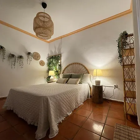 Country house Garden Xativa